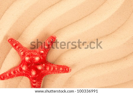 Red starfish on a beach