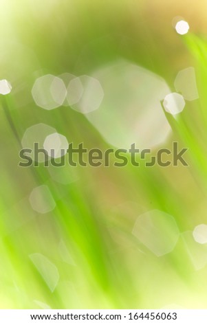 Abstract Green grass texture with water drops, close-up.