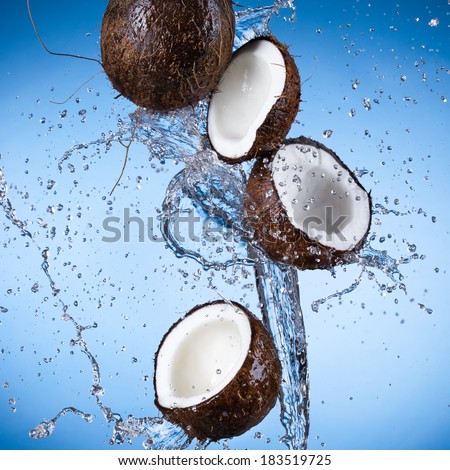 Coconuts with water splash isolated on white