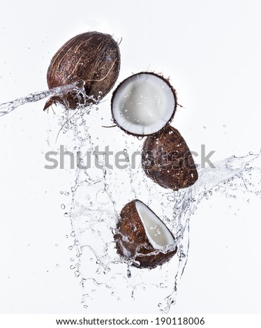 Coconuts with water splash isolated on white