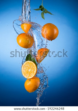 Oranges with water splash isolated on white