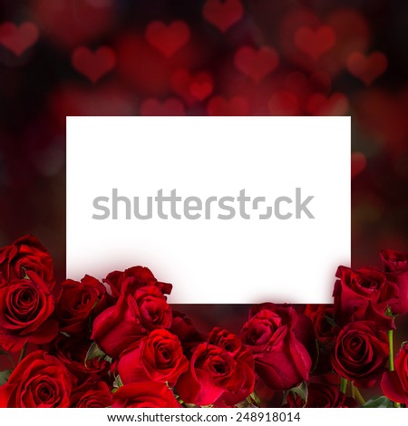 Natural red roses background, close-up.