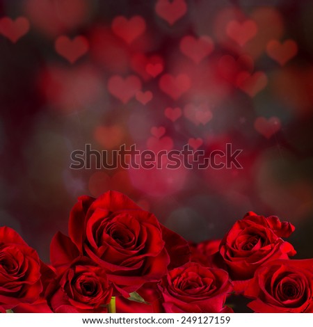 Natural red roses background, close-up.