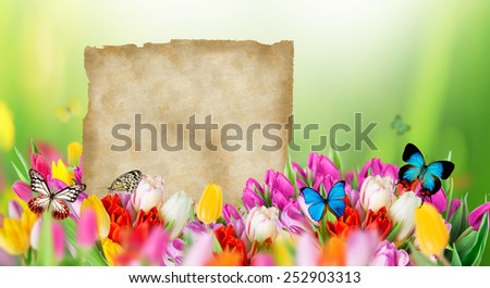 tulips over blurred green background and exotic butterflies, bouquet of spring easter flowers.