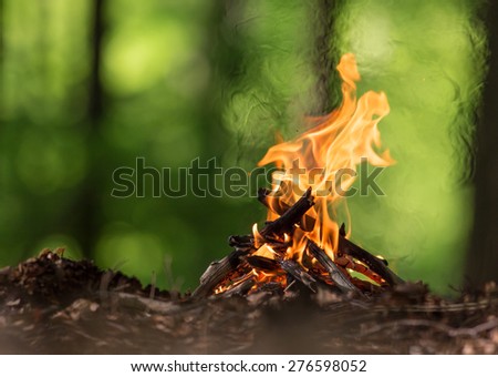 Bonfire in spring forest, close-up.