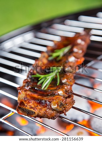 Delicious pork spareribs on grill grate, garden barbecue.