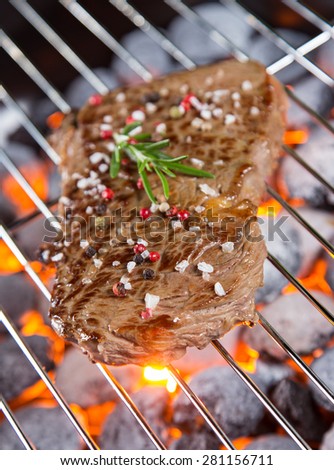 Delicious beef steak on garden grill, close-up