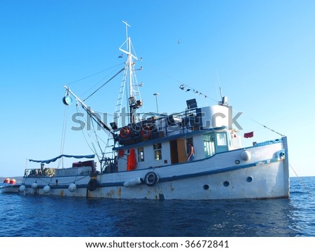 fish ship