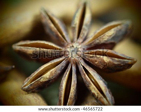 A single star anise