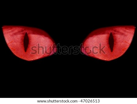 Red feline eyes in the dark