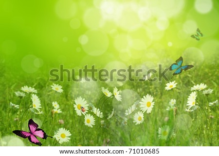 Spring Backgrounds on Fresh Spring Background Stock Photo 71010685   Shutterstock