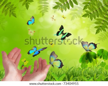 Hands releasing exotic butterflies.