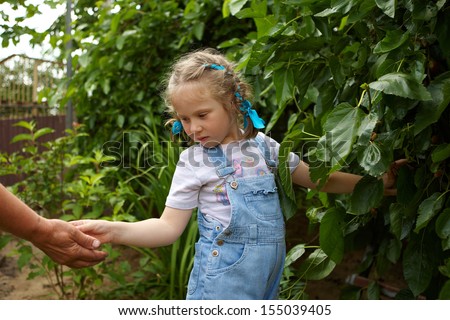 Cute little girl gathering harvest mulberry berries