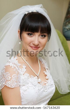 Portrait of a beautiful brunette bride with a bridal veil