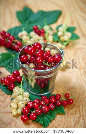 Berries on Wooden Background. Summer  red and yellow currant. Agriculture, Gardening, Harvest Concept