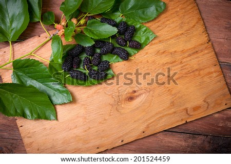 mulberry on Wooden Background. Agriculture, Gardening, Harvest Concept