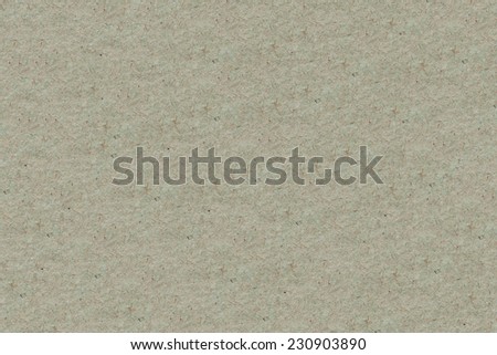 Texture gray Paper.  Background. Copy Space Parchment