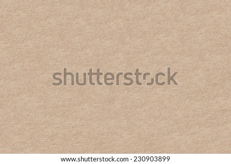 Texture beige Paper.  Background. Copy Space Parchment