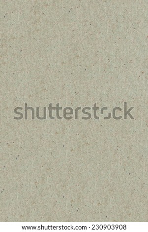 Texture gray Paper.  Background. Copy Space Parchment