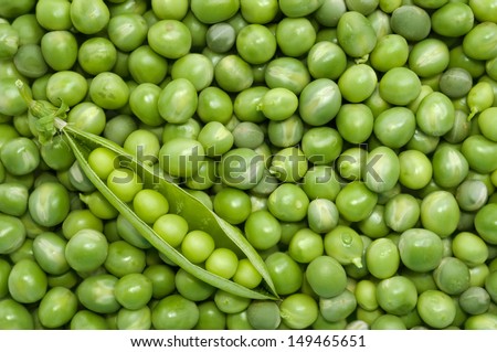 Fresh green pea pod in the corner on the background of green peas - directly above shot