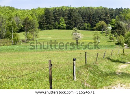 Meadow with fence, forest and blue sky