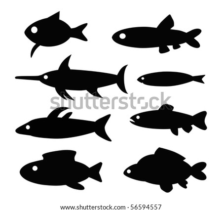 Different Types Of Fishes In