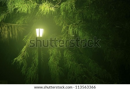 Street light in foggy park