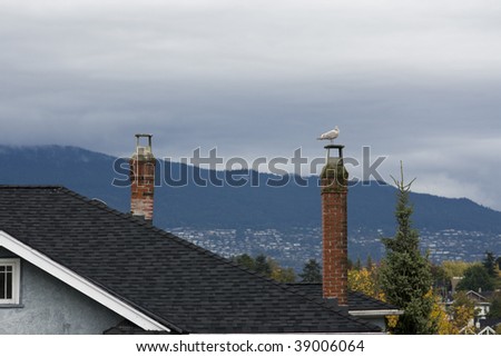 A bird on a chimney pot looking at the mountains