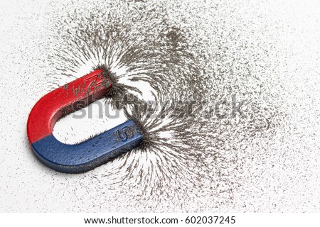 Red and blue horseshoe magnet or physics magnetic with iron powder magnetic field on white background. Scientific experiment in science class in school.