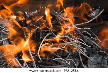 burning fire and ash from the branches