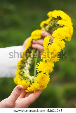 a wreath of dandelions in women\'s hands