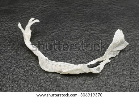 skin shedding (leopard gecko limb) on leather