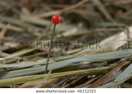 red needle in the haystack