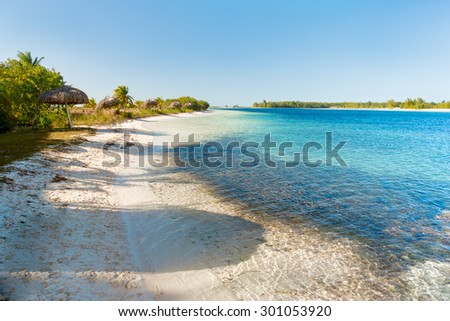 Soft wave of the sea on the sandy beach. Blue sky, white sand, palm trees. Cuba, Caribbean sea.