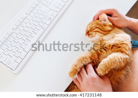 Happy cute ginger cat lying on the desk next to the keyboard. Man strokes smiling pet. Cozy morning at home.