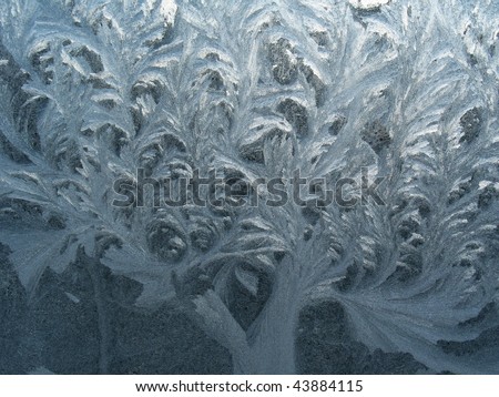 Ice texture on the frozen window glass