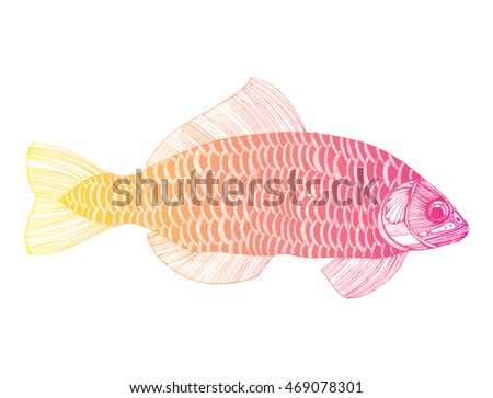 Fish Of The Carp Family Letters Fish Of The Carp Family Letters