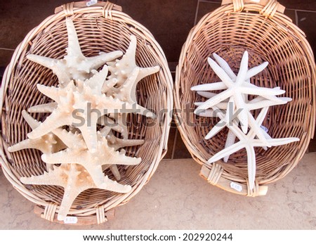 Dead Starfish for sale as souvenirs in a shop