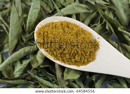 Curry powder in spoon on curry leaves