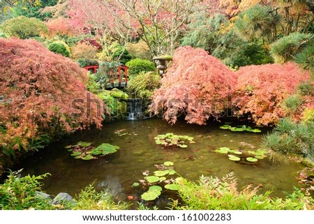 autumn landscape in Japanese Garden of the national historical site Butchart Gardens, Vancouver island, British Columbia, Canada