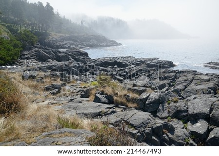 seascape of east sooke regional park in mist, Vancouver Island, British Columbia, Canada