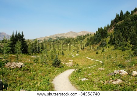 Winding hiking trail in sunshine meadows, one of the best trails at banff national park, alberta, canada