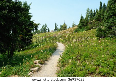 alberta hiking trails