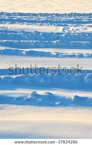 Snow waves in sunset light in winter field, elk island national park, alberta, canada