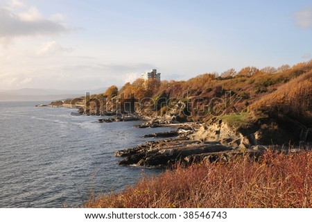 View of sea and shore in sunset moment, victoria, british columbia, canada