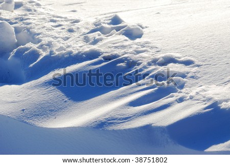 Wind blowing snow dune in elk island national park, alberta, canada