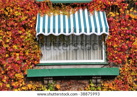 Window on the wall with colorful autumnal leaves of ivy in butchart garden, victoria, british columbia, canada