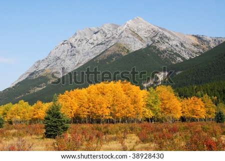Colorful autumn view of rocky mountains and forests in kananaskis country, alberta, canada