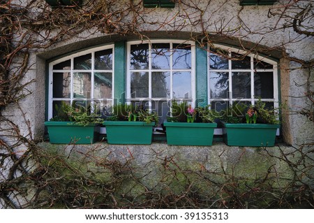 Window on the wall with ivy in butchart garden, victoria, british columbia, canada