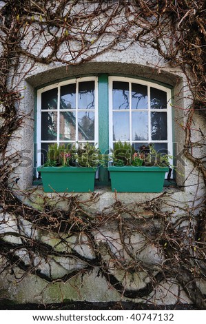 Window on the wall with ivy in butchart garden, victoria, british columbia, canada